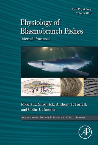 Physiology of Elasmobranch Fishes: Internal Processes