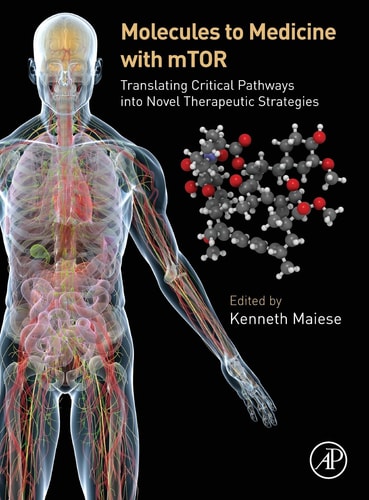 Molecules to Medicine with mTOR Translating Critical Pathways into Novel Therapeutic Strategies