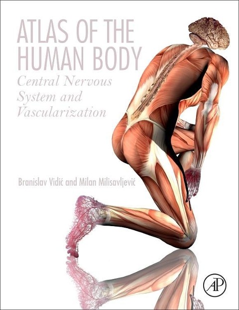 Atlas of the Human Body: Central Nervous System and Vascularization