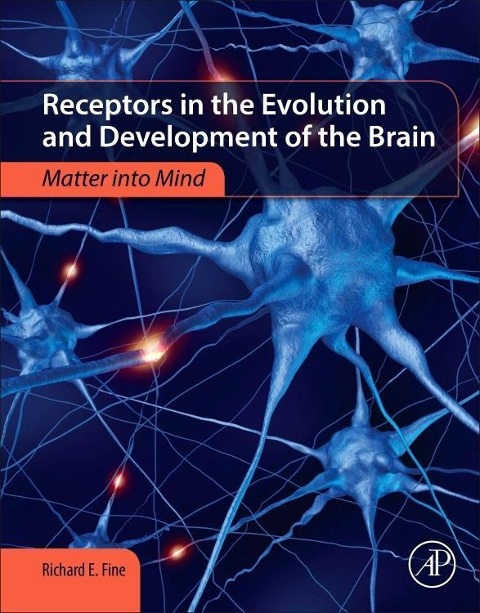 Receptors in the Evolution and Development of the Brain: Matter Into Mind