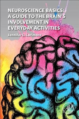 Neuroscience Basics: A Guide to the Brains Involvement in Everyday Activities