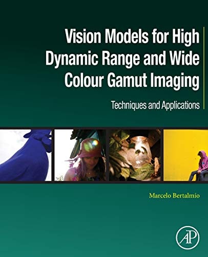Vision Models for High Dynamic Range and Wide Colour Gamut Imaging Techniques and Applications
