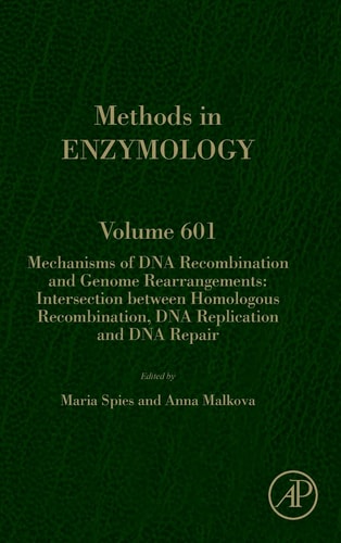 Mechanisms of DNA Recombination and Genome Rearrangements: Intersection Between Homologous Recombination, DNA Replication and DNA Repair