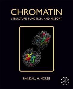 Chromatin: Structure, Function, and History