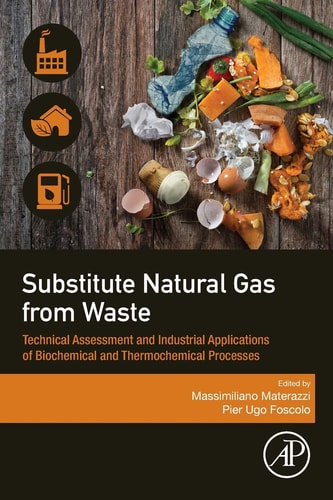 Substitute Natural Gas from Waste Technical Assessment and Industrial Applications of Biochemical and Thermochemical Processes