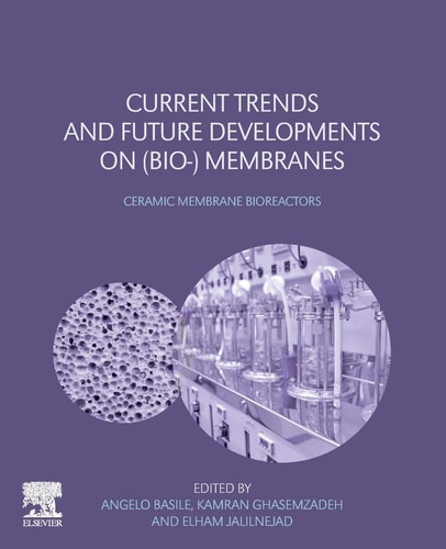 Current Trends and Future Developments on (Bio-) Membranes Ceramic Membrane Bioreactors