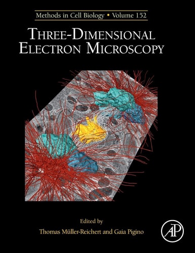 Three-Dimensional Electron Microscopy