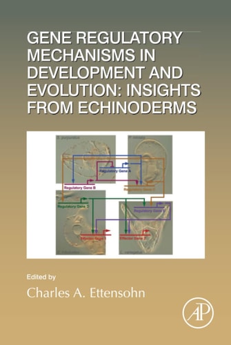 Gene Regulatory Mechanisms in Development and Evolution: Insights from Echinoderms