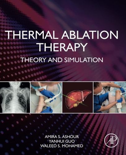 Thermal Ablation Therapy Theory and Simulation