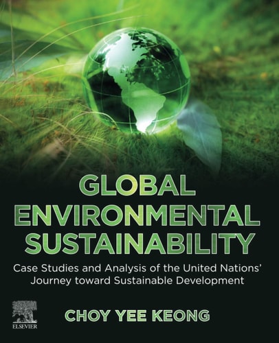 Global Environmental Sustainability Case Studies and Analysis of the United Nations' Journey toward Sustainable Development