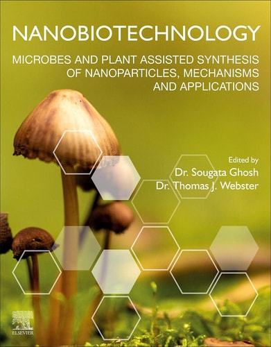 Nanobiotechnology Microbes and Plant Assisted Synthesis of Nanoparticles, Mechanisms and Applications