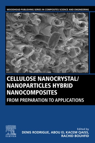 Cellulose Nanocrystal/Nanoparticles Hybrid Nanocomposites From Preparation to Applications