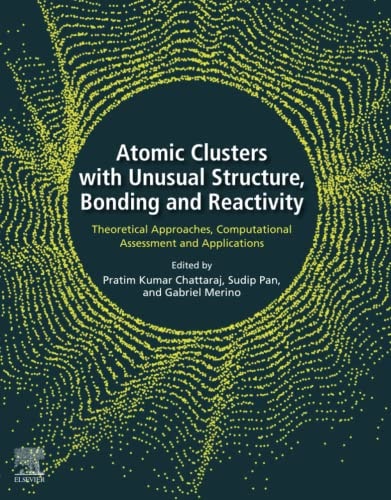 Atomic Clusters with Unusual Structure, Bonding and Reactivity Theoretical Approaches, Computational Assessment and Applications