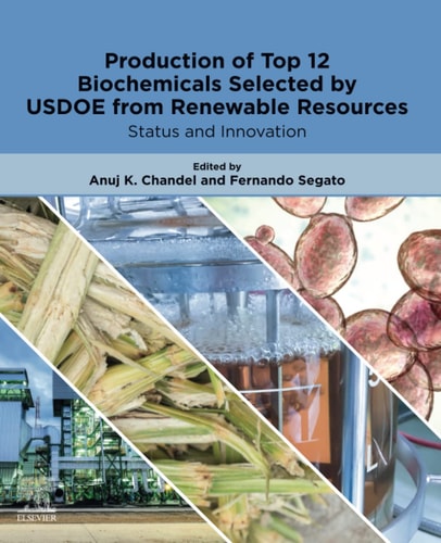 Production of Top 12 Biochemicals Selected by USDOE from Renewable Resources Status and Innovation