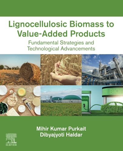 Lignocellulosic Biomass to Value-Added Products Fundamental Strategies and Technological Advancements