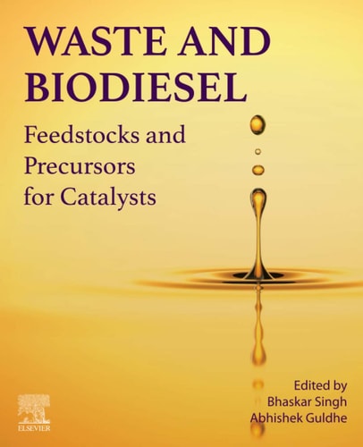 Waste and Biodiesel Feedstocks and Precursors for Catalysts