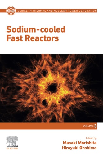 Sodium-cooled Fast Reactors