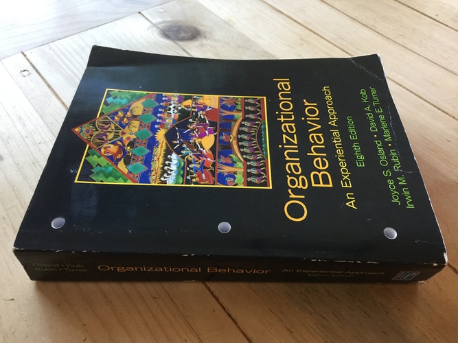 Organizational Behavior An Experiential Approach