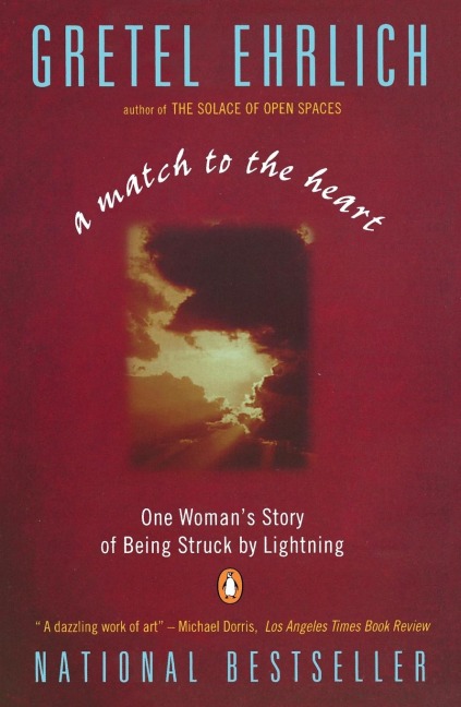A Match to the Heart: One Womans Story of Being Struck By Lightning