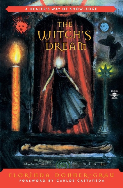 The Witchs Dream: A Healers Way of Knowledge