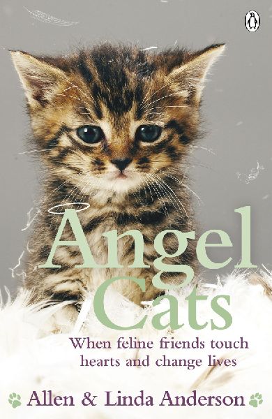 Angel Cats