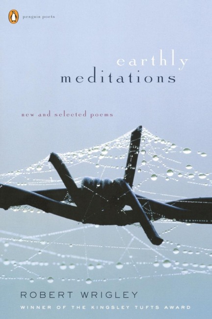 Earthly Meditations: New and Selected Poems