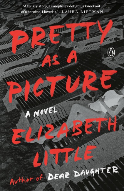 Pretty as a Picture: A Novel