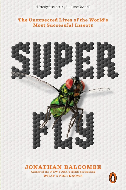 Super Fly: The Unexpected Lives of the Worlds Most Successful Insects