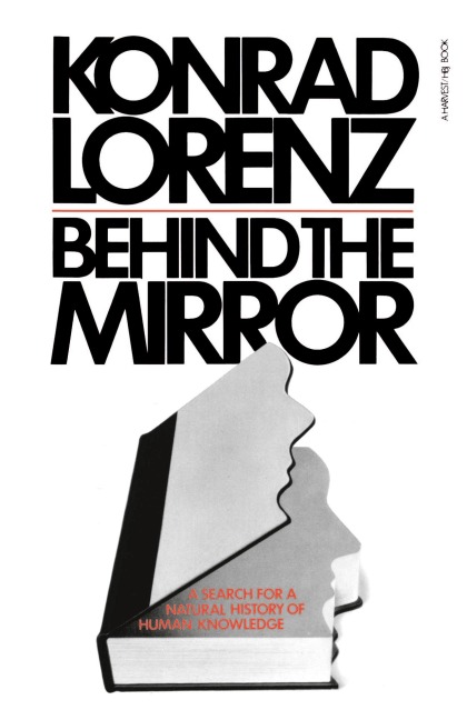 Behind the Mirror