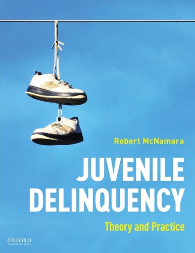 Juvenile Delinquency Theory to Practice