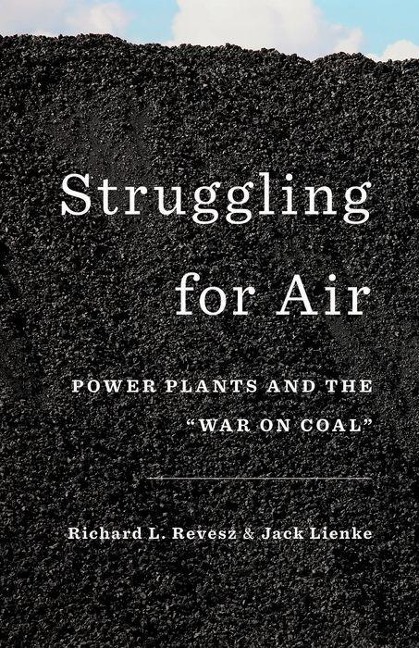 Struggling for Air: Power Plants and the war on Coal