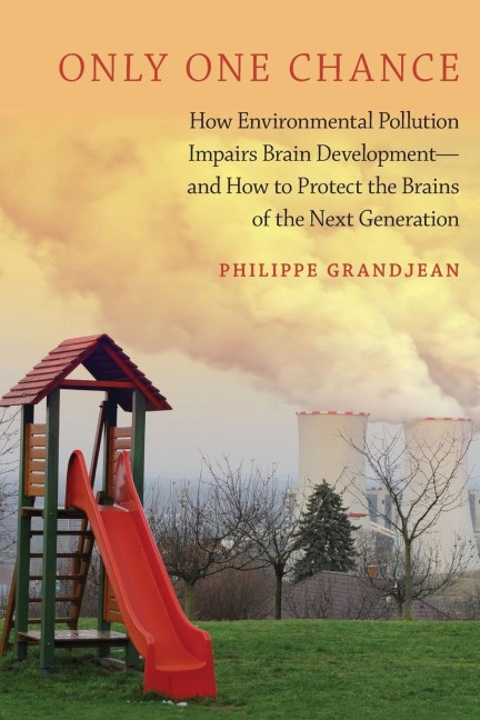 Only One Chance: How Environmental Pollution Impairs Brain Development -- And How to Protect the Brains of the Next Generation
