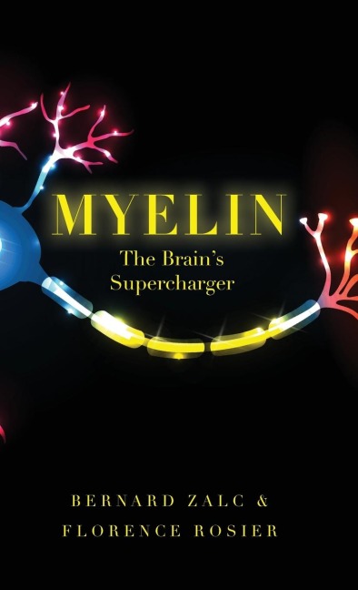Myelin: The Brains Supercharger