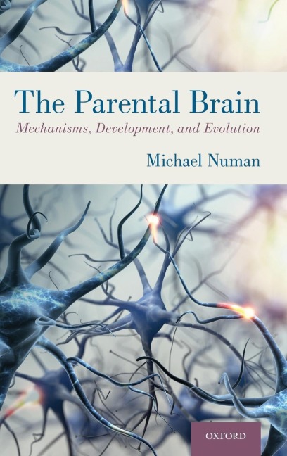 Parental Brain: Mechanisms, Development, and Evolution
