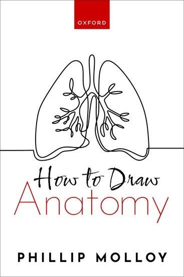 How to Draw Anatomy