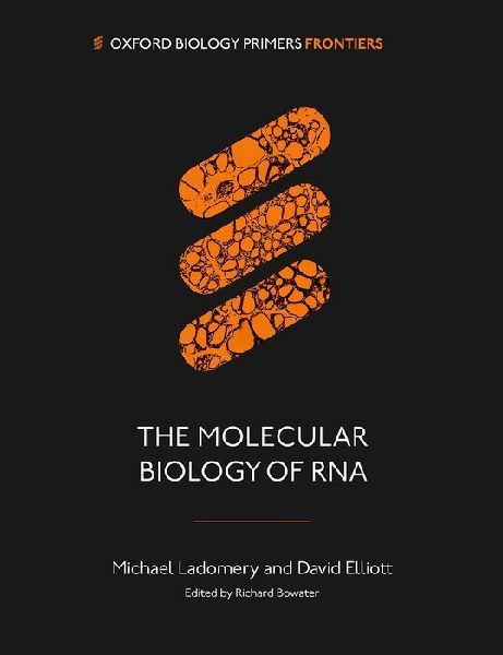The Molecular Biology of RNA