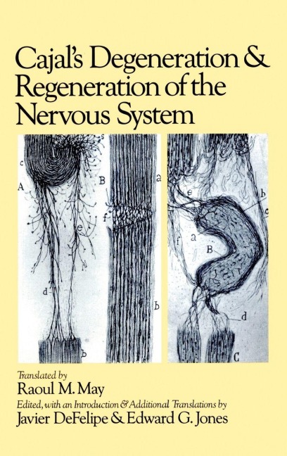 CAJALS DEGENERATION HN C