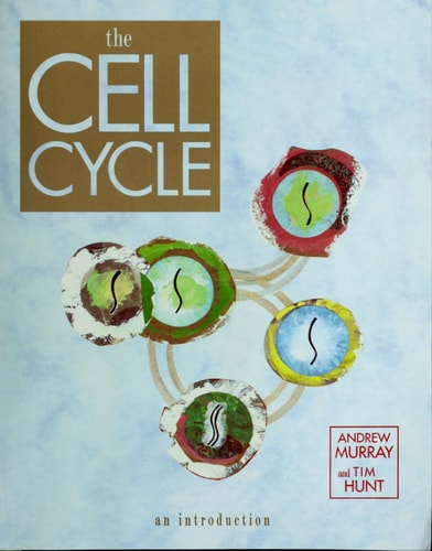 The Cell Cycle An Introduction