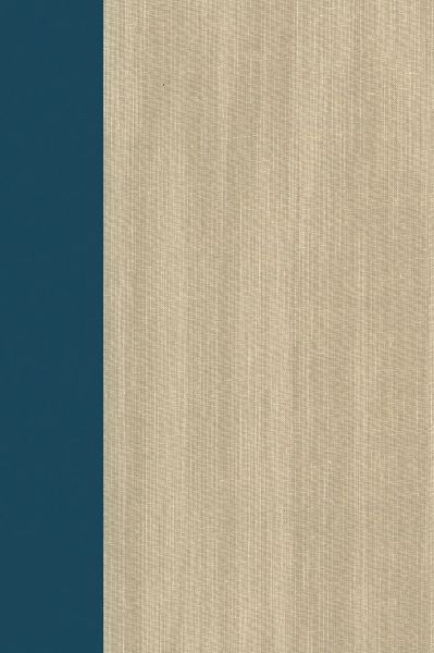 Terrorism Documents of International and Local Control