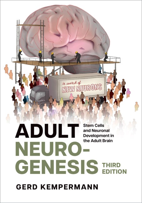 Adult Neurogenesis: Stem Cells and Neuronal Development in the Adult Brain