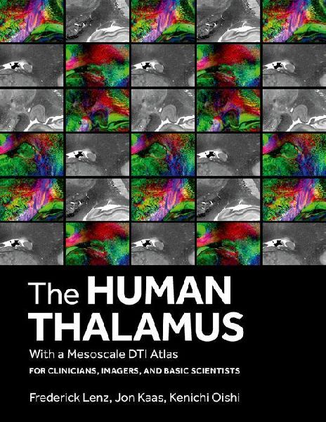 The Human Thalamus with a Mesoscale Dti Atlas: For Clinicians, Imagers and Basic Scientists