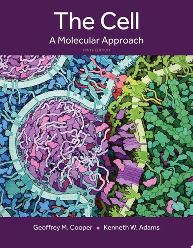 The Cell A Molecular Approach