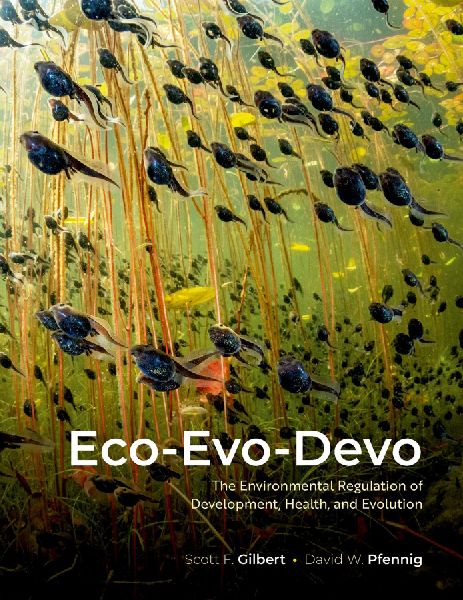Eco-Evo-Devo: The Environmental Regulation of Development, Health, and Evolution