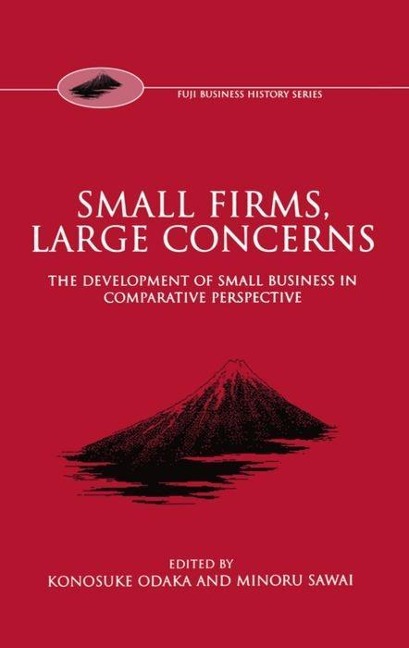 Small Firms, Large Concerns The Development of Small Business in Comparative Perspective