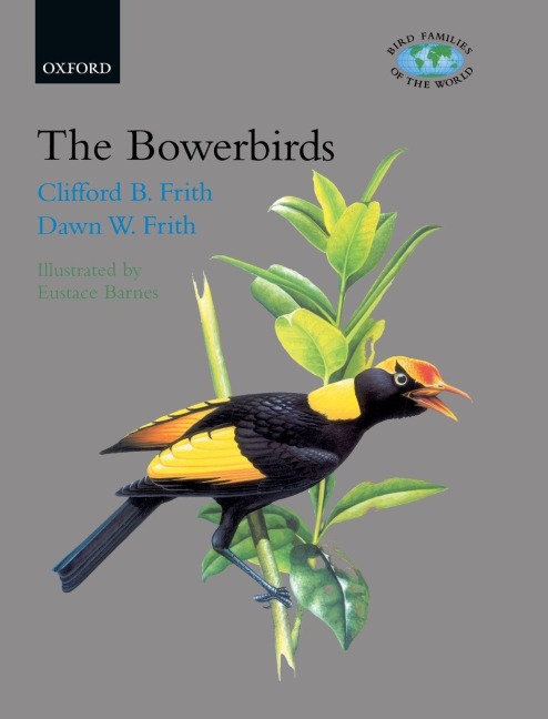 BOWERBIRDS BFW C