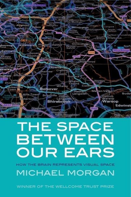 The Space Between Our Ears: How the Brain Represents Visual Space