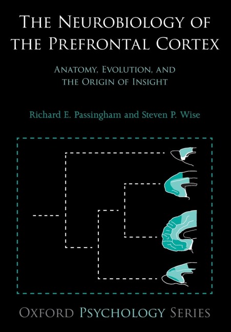 Neurobiology of the Prefrontal Cortex: Anatomy, Evolution, and the Origin of Insight