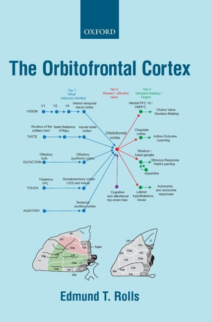 Orbitofrontal Cortex