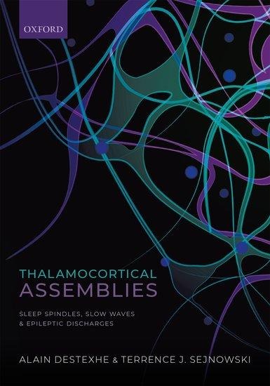 Thalamocortical Assemblies: Sleep Spindles, Slow Waves and Epileptic Discharges