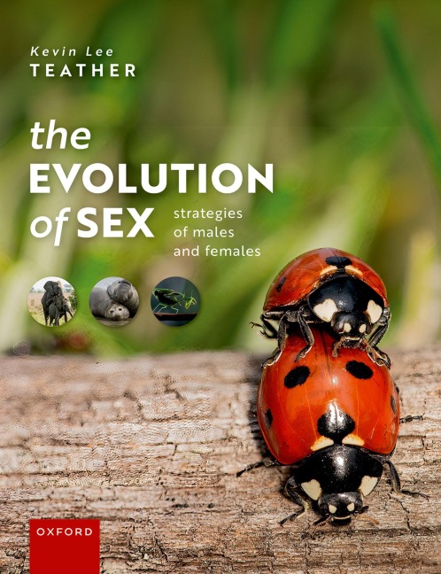 The Evolution of Sex Strategies of Males and Females